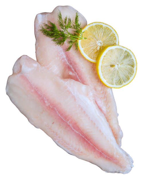 Fish filets with lemon and dill