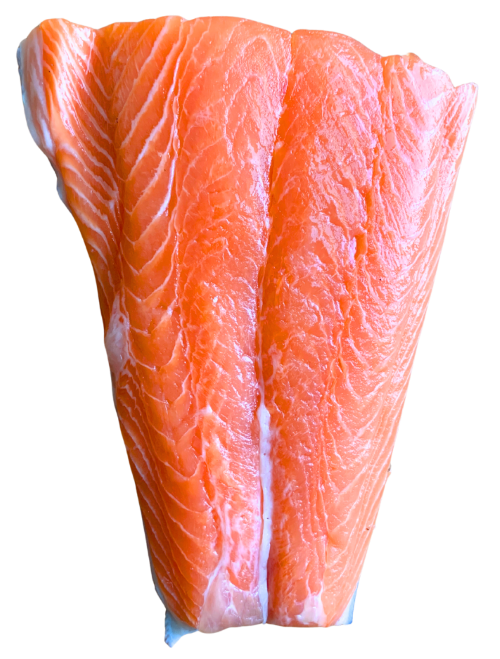 Salmon Filet