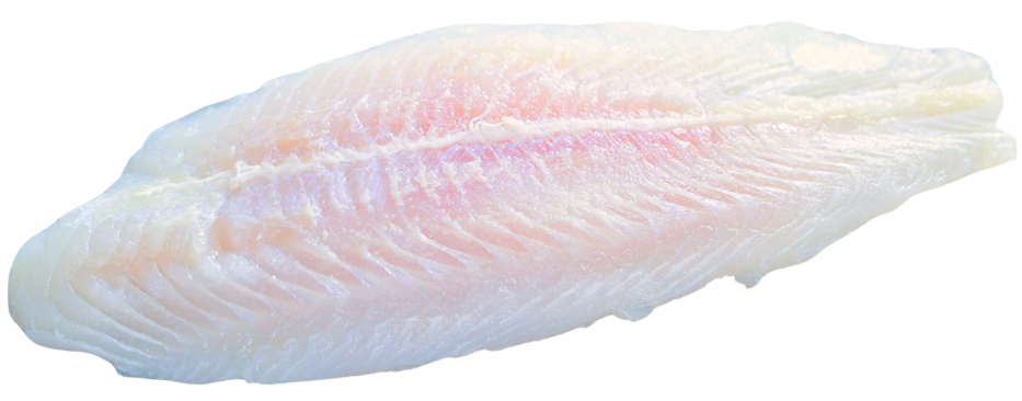 Tilapia Filet